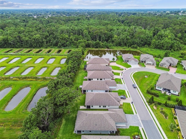 7991 Lake James Blvd, Lakeland, FL 33810 - aerial perspective of suburban area featuring a forest and a large body of water