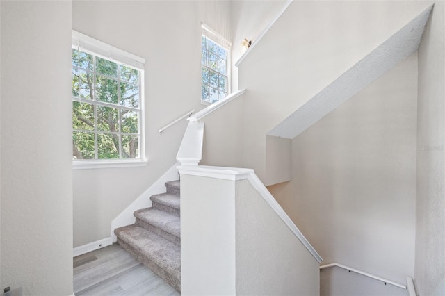 3301 Haviland Ct Unit 203, Palm Harbor, FL 34684 - staircase with wood finished floors and baseboards