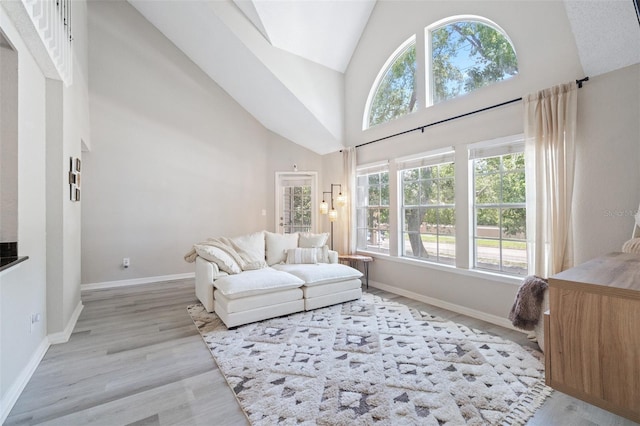 3301 Haviland Ct Unit 203, Palm Harbor, FL 34684 - living area with plenty of natural light, high vaulted ceiling, baseboards, and light wood-style floors