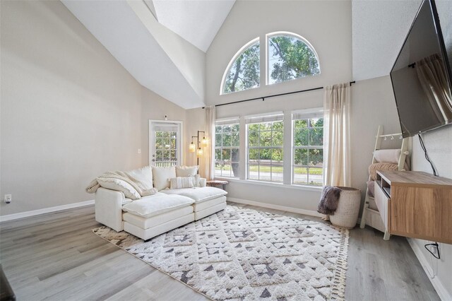 3301 Haviland Ct Unit 203, Palm Harbor, FL 34684 - living area featuring light wood finished floors, high vaulted ceiling, and baseboards