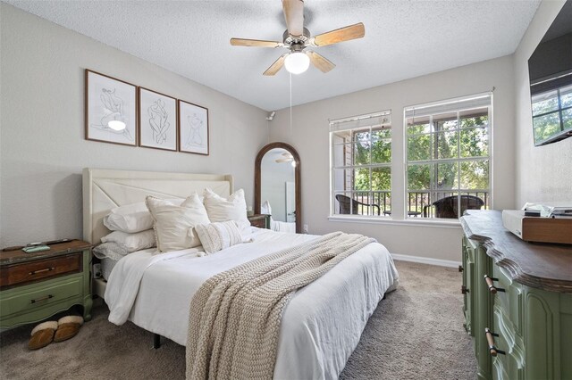 3301 Haviland Ct Unit 203, Palm Harbor, FL 34684 - bedroom featuring carpet floors, a textured ceiling, and ceiling fan