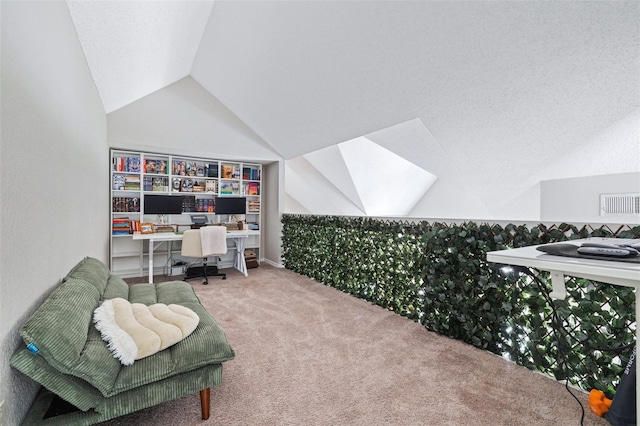 3301 Haviland Ct Unit 203, Palm Harbor, FL 34684 - office space featuring vaulted ceiling, carpet, and a skylight