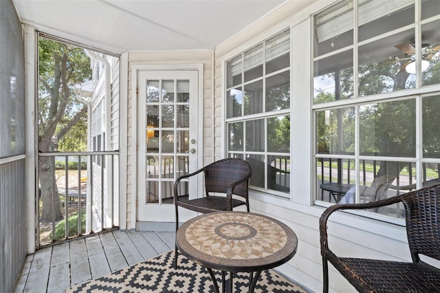 3301 Haviland Ct Unit 203, Palm Harbor, FL 34684 - view of sunroom