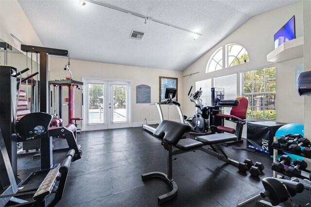 3301 Haviland Ct Unit 203, Palm Harbor, FL 34684 - gym with a textured ceiling, lofted ceiling, french doors, and baseboards