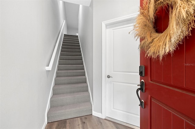 807 Callista Cay Loop, Tarpon Springs, FL 34689 - staircase featuring baseboards and wood finished floors