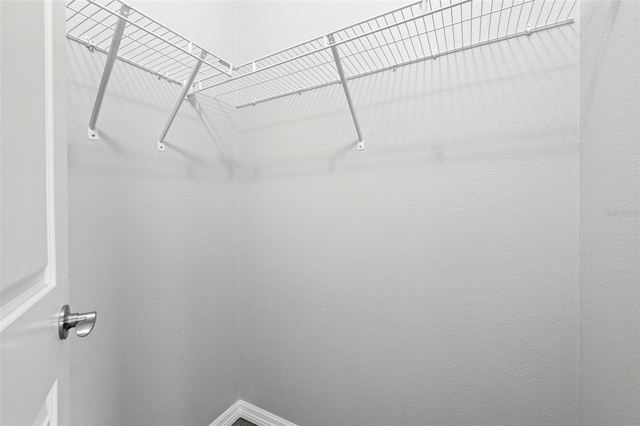 807 Callista Cay Loop, Tarpon Springs, FL 34689 - view of spacious closet
