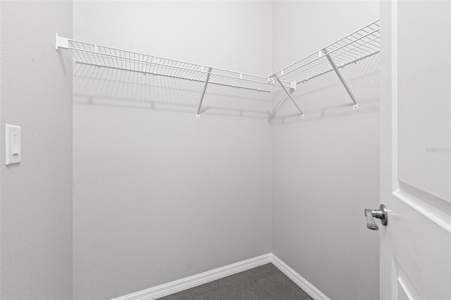 807 Callista Cay Loop, Tarpon Springs, FL 34689 - view of walk in closet