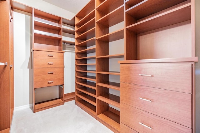 2354 Messenger Cir, Safety Harbor, FL 34695 - walk in closet featuring light carpet