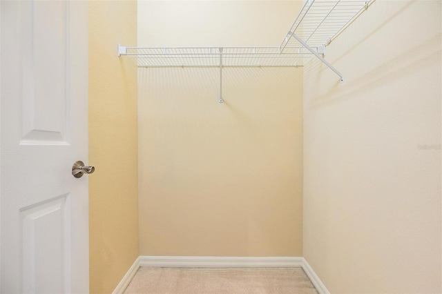 2354 Messenger Cir, Safety Harbor, FL 34695 - spacious closet featuring light carpet