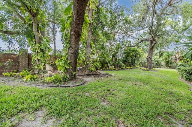 2354 Messenger Cir, Safety Harbor, FL 34695 - view of yard
