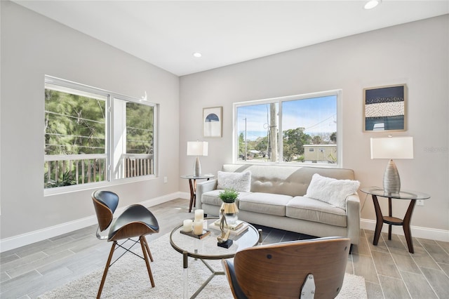6433 Werner Ave, New Port Richey, FL 34652 - living area with light wood-style floors, baseboards, and recessed lighting