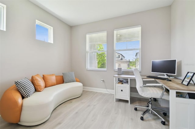 33287 Sycamore Leaf Dr, Wesley Chapel, FL 33545 - office featuring light wood-style floors, healthy amount of natural light, and baseboards