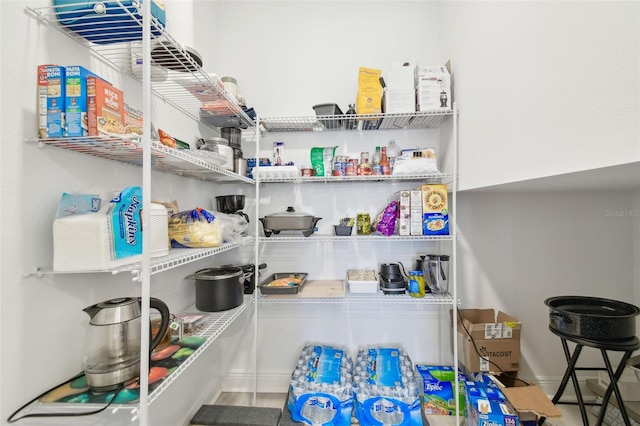 33287 Sycamore Leaf Dr, Wesley Chapel, FL 33545 - view of pantry