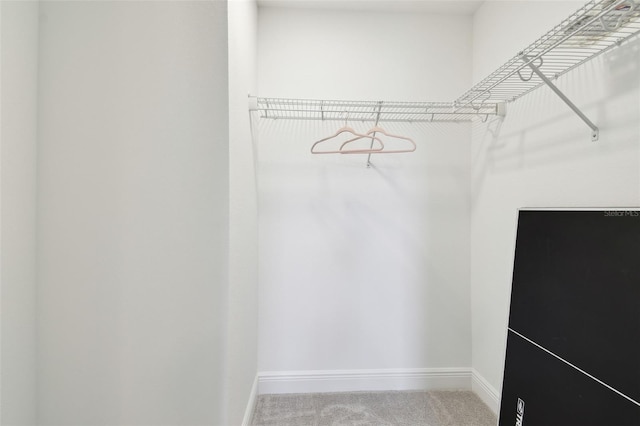 33287 Sycamore Leaf Dr, Wesley Chapel, FL 33545 - spacious closet with carpet
