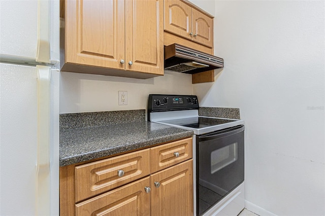4708 Michael Ct Unit 104, Tampa, FL 33614 - kitchen featuring electric range, under cabinet range hood, freestanding refrigerator, and dark countertops