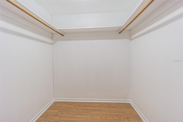 4708 Michael Ct Unit 104, Tampa, FL 33614 - walk in closet featuring light wood-type flooring