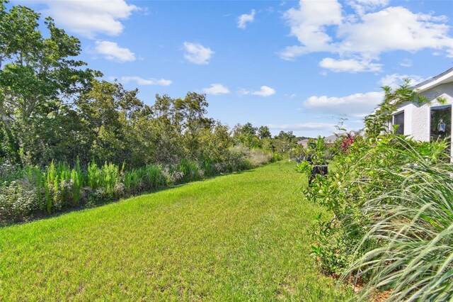 12716 Evington Point Dr, Riverview, FL 33579 - photo 37