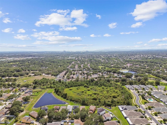 12716 Evington Point Dr, Riverview, FL 33579 - photo 39