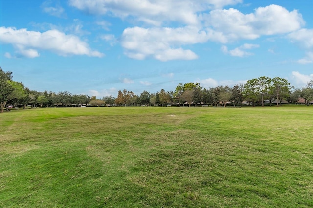 12716 Evington Point Dr, Riverview, FL 33579 - photo 61