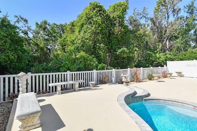 9709 Bay Colony Dr, Riverview, FL 33578 - view of swimming pool with a patio area
