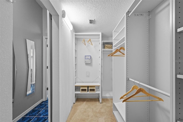 12009 Wandsworth Dr, Tampa, FL 33626 - view of walk in closet