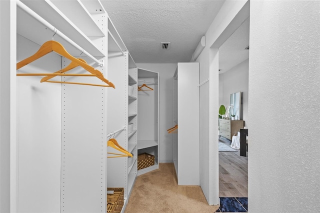 12009 Wandsworth Dr, Tampa, FL 33626 - walk in closet featuring carpet floors