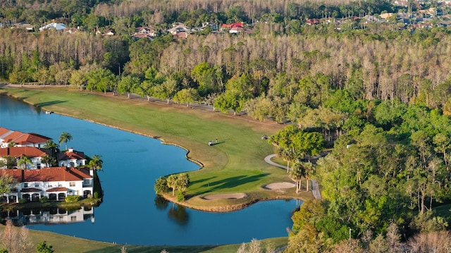 12009 Wandsworth Dr, Tampa, FL 33626 - aerial view of property and surrounding area with a heavily wooded area, a golf course, and a nearby body of water