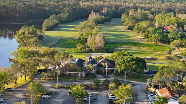 12009 Wandsworth Dr, Tampa, FL 33626 - view of property location featuring a golf course, a forest, and a nearby body of water