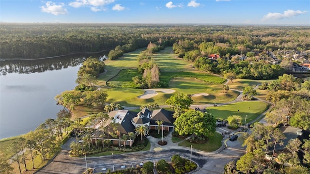 12009 Wandsworth Dr, Tampa, FL 33626 - aerial view of property and surrounding area featuring a forest, a golf club, and a large body of water