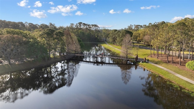 12009 Wandsworth Dr, Tampa, FL 33626 - water view featuring a forest