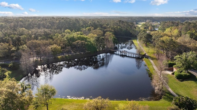 12009 Wandsworth Dr, Tampa, FL 33626 - aerial overview of property's location featuring a forest and a large body of water