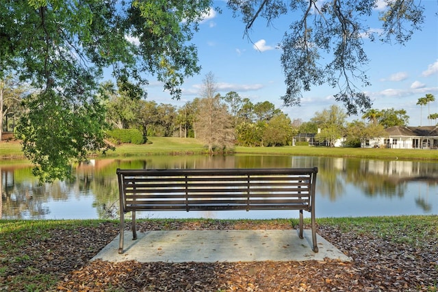 12009 Wandsworth Dr, Tampa, FL 33626 - view of property's community with a water view
