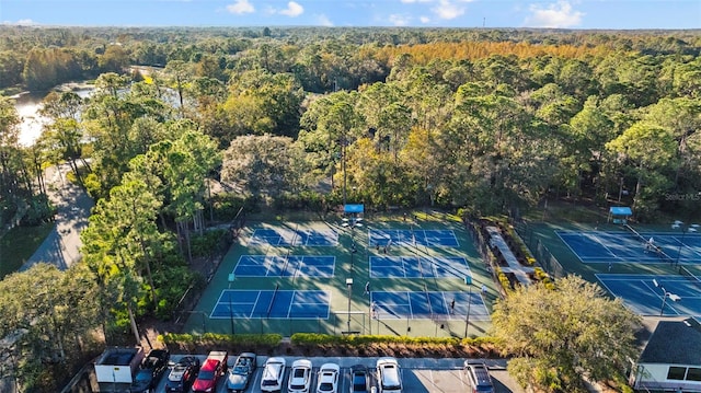 12009 Wandsworth Dr, Tampa, FL 33626 - aerial view of a forest