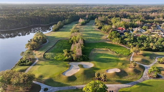 12009 Wandsworth Dr, Tampa, FL 33626 - view of property location featuring a nearby body of water, a heavily wooded area, and a golf club