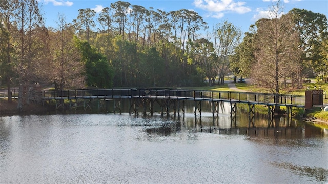 12009 Wandsworth Dr, Tampa, FL 33626 - water view with a tree filled landscape