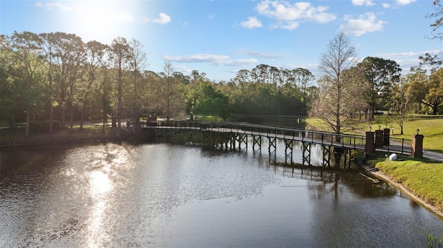 12009 Wandsworth Dr, Tampa, FL 33626 - water view