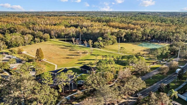 12009 Wandsworth Dr, Tampa, FL 33626 - drone / aerial view of a heavily wooded area