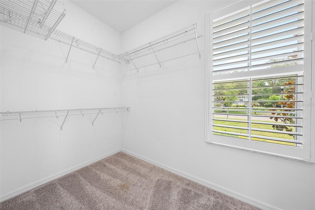 19819 Tattnall Way, Brooksville, FL 34601 - photo 36