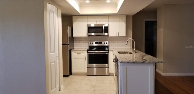 1841 Georgia Ave, Palm Harbor, FL 34683 - kitchen with stainless steel appliances, a sink, a raised ceiling, a peninsula, and tasteful backsplash