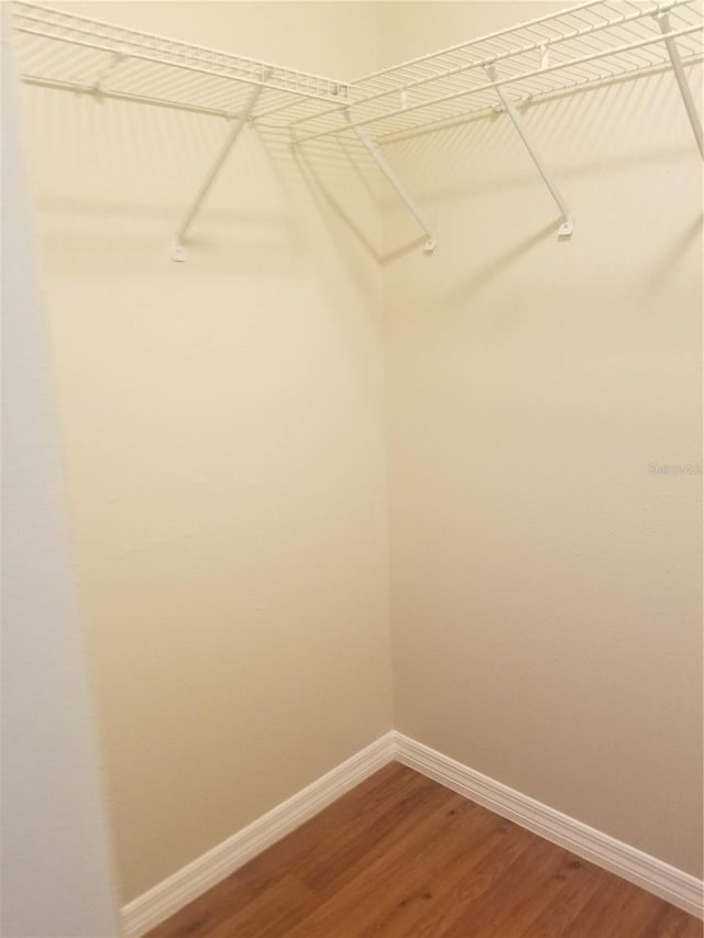 1841 Georgia Ave, Palm Harbor, FL 34683 - walk in closet with wood finished floors