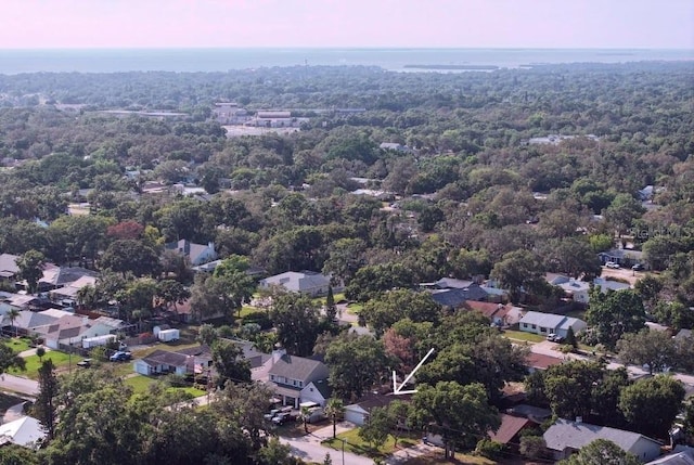1841 Georgia Ave, Palm Harbor, FL 34683 - aerial view of residential area with a forest