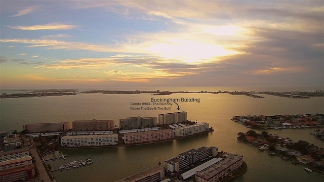 6060 Shore Blvd S Unit 903, Gulfport, FL 33707 - water view featuring numerous boat docks