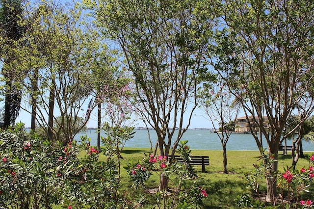 6060 Shore Blvd S Unit 903, Gulfport, FL 33707 - water view