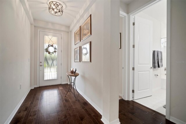 5102 Coastal Scene Dr, Apollo Beach, FL 33572 - entryway with hardwood / wood-style flooring and baseboards