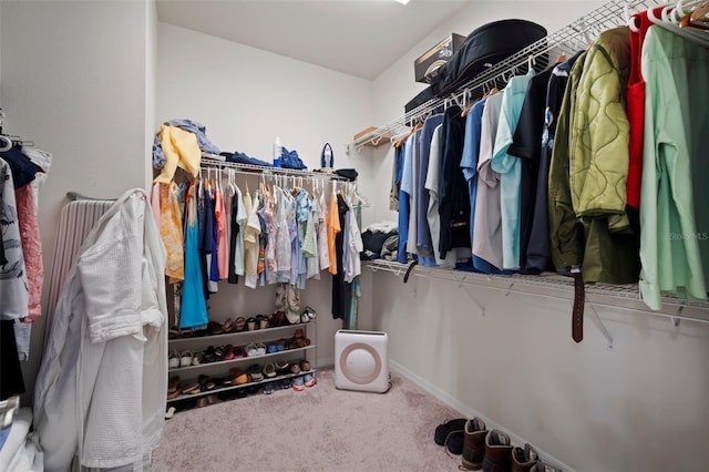 5102 Coastal Scene Dr, Apollo Beach, FL 33572 - spacious closet featuring carpet