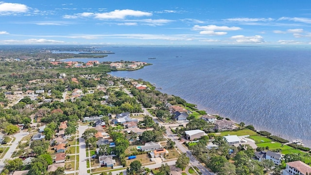 965 S Florida Ave, Tarpon Springs, FL 34689 - photo 42