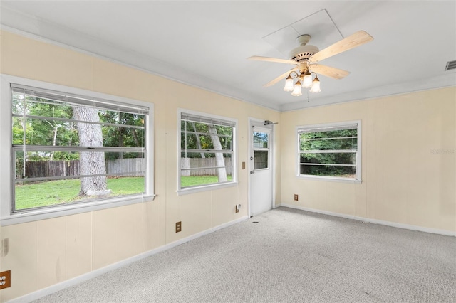 2956 Sutherland Ct, Palm Harbor, FL 34684 - carpeted empty room featuring a ceiling fan, baseboards, and crown molding
