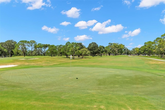 2956 Sutherland Ct, Palm Harbor, FL 34684 - view of property's community featuring view of wooded area, golf course view, and a yard
