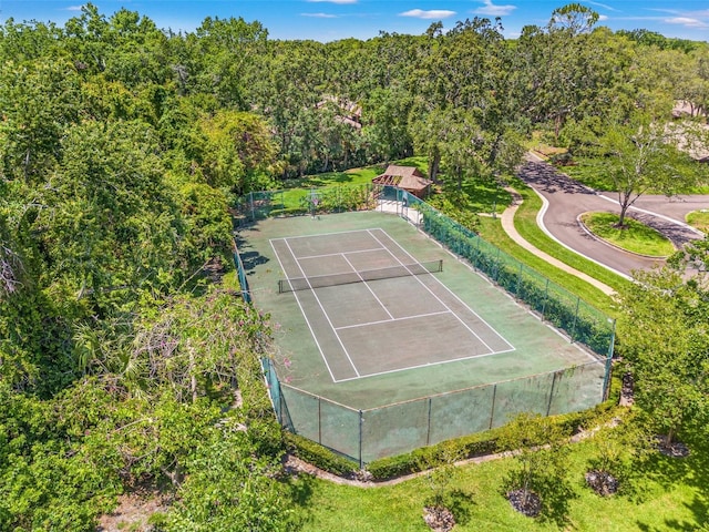 2919 Fig Ct, Palm Harbor, FL 34684 - view of tennis court featuring a wooded view
