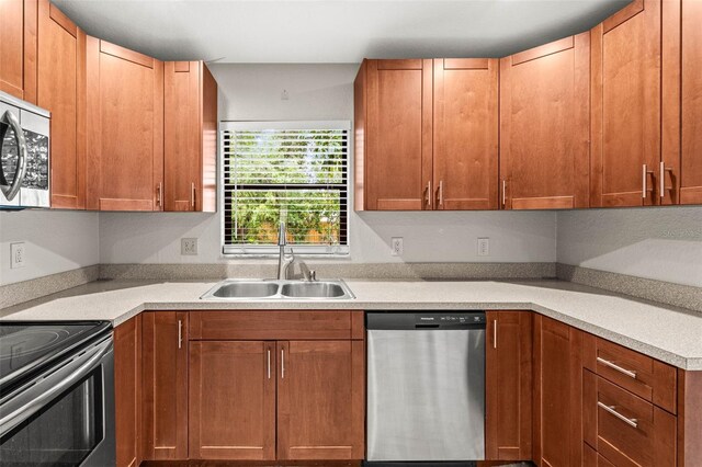2986 Cypress Green Dr, Palm Harbor, FL 34684 - photo 10